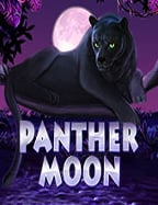 เครดิต ฟรี เว็บ ใหม่ ล่าสุด: วิธีเล่นเกมสล็อตออนไลน์